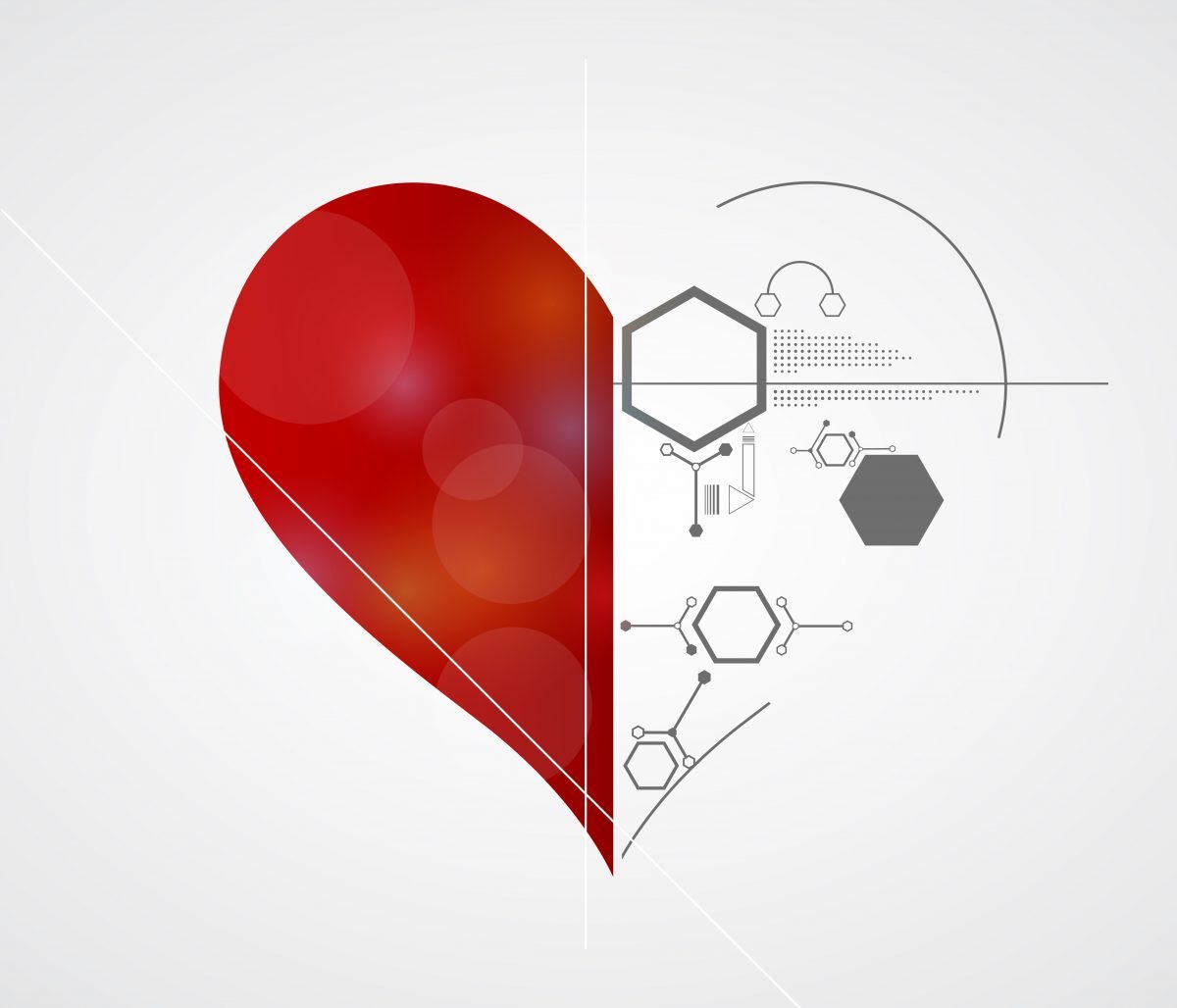 Putting the heart into software development